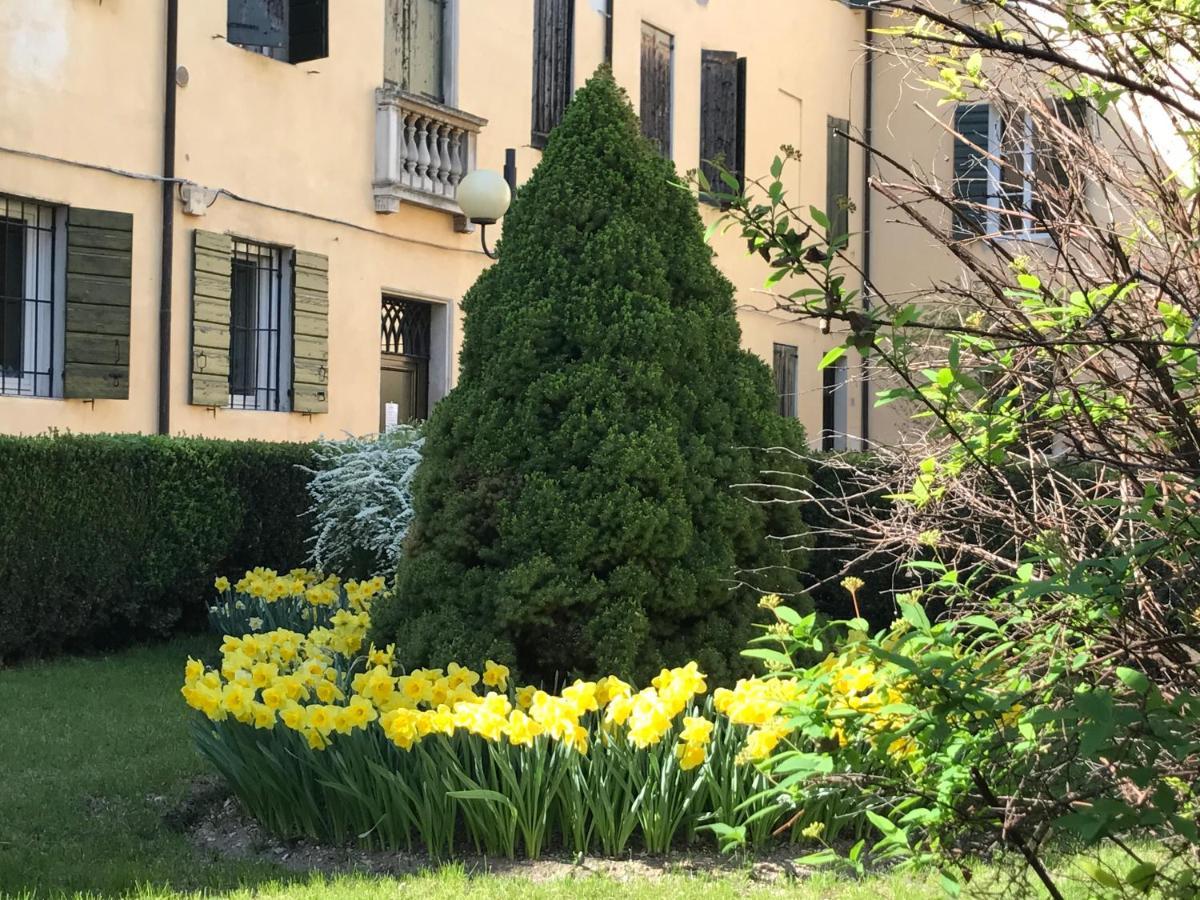 Catoo Dimora Di Design Park In Palazzo Nobiliare Al Duomo Apartment Падуа Екстериор снимка